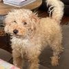 pennylu22